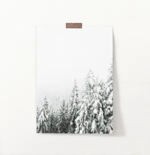 Charming Spruce Tops Covered in Snow Photo Art