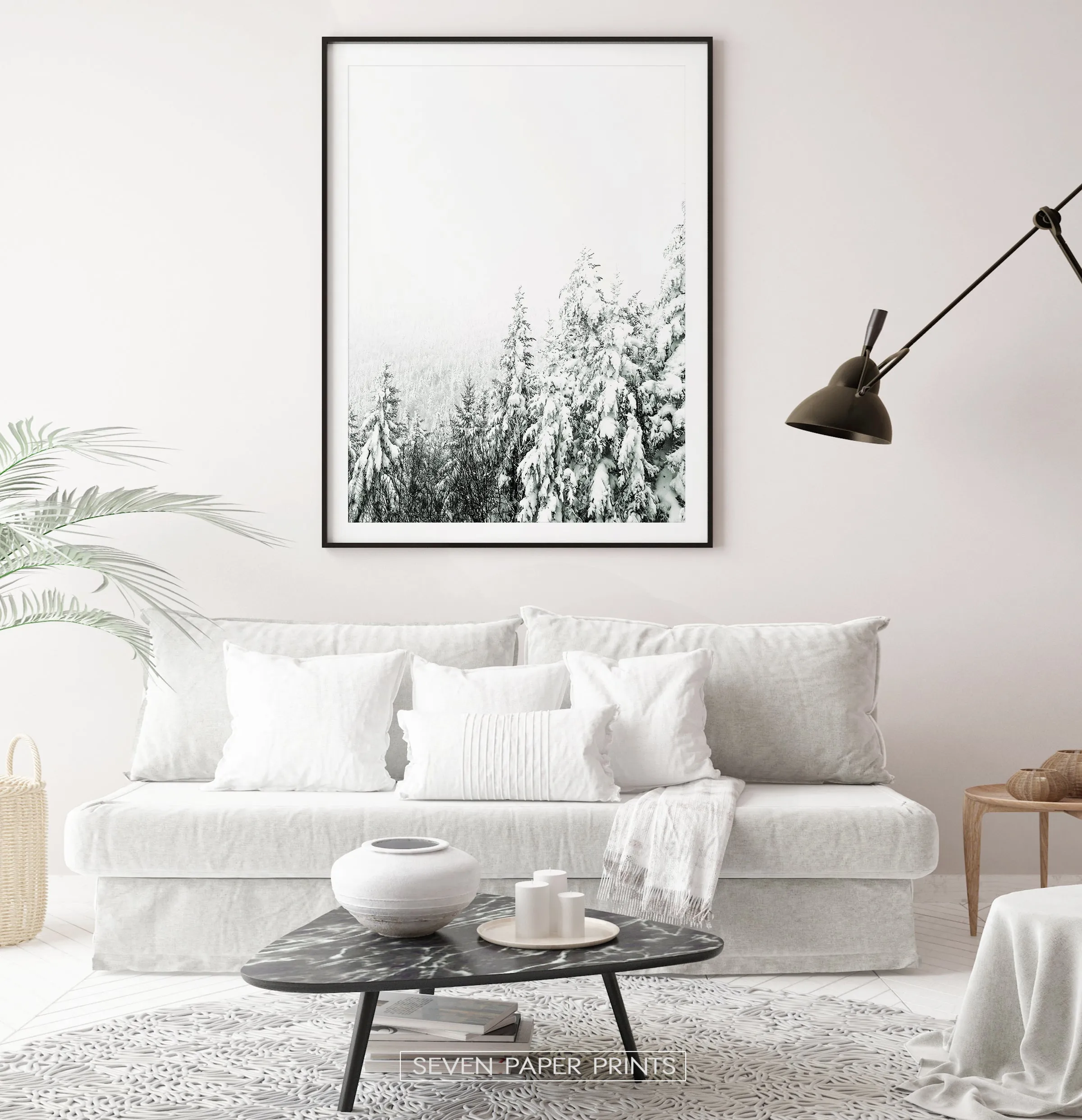 Charming Spruce Tops Covered in Snow Photo Art