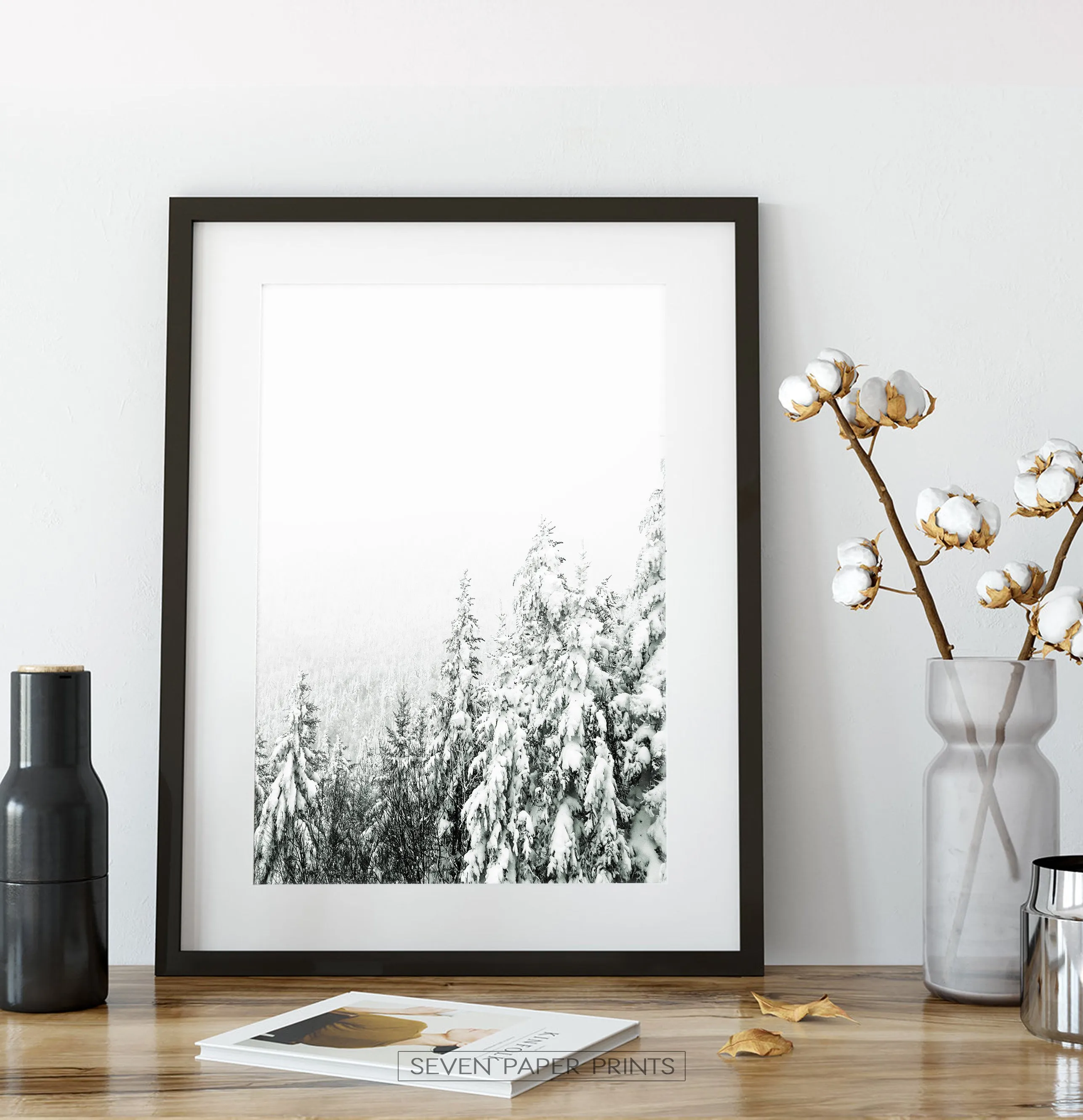 Charming Spruce Tops Covered in Snow Photo Art