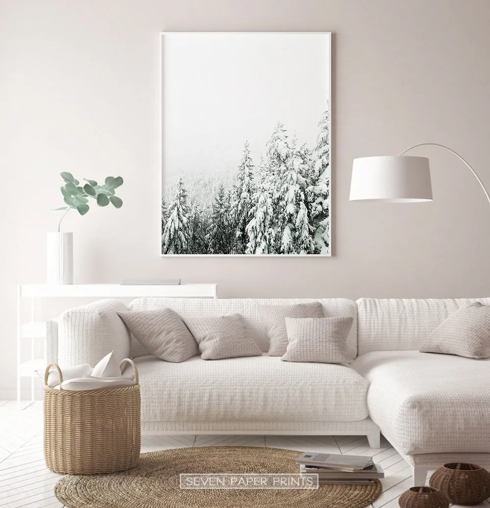Charming Spruce Tops Covered in Snow Photo Art