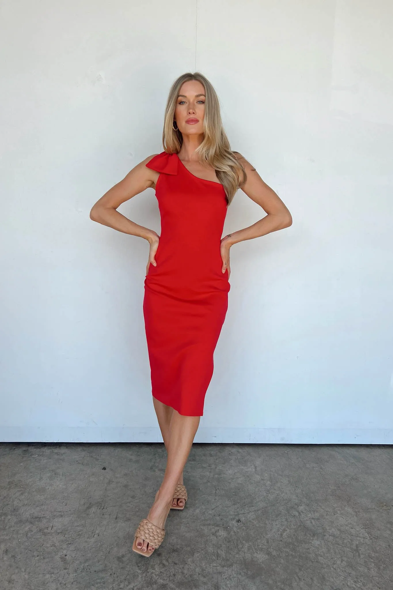 Graceful Leader Dress