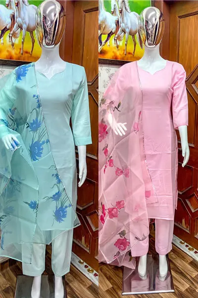 Modern simple plazo suit design 2021 Pink blue